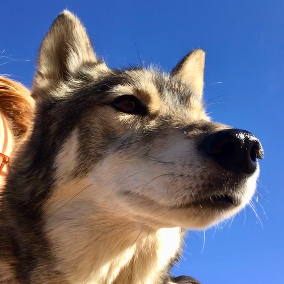 Meet your Posher, S - Picture 1 of 1